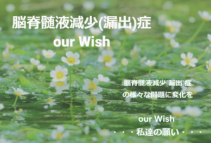 脳脊髄液減少(漏出)症our Wish